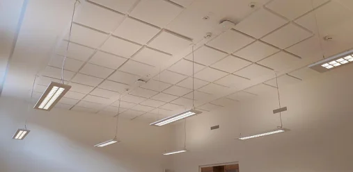 Universiteit van Amsterdam