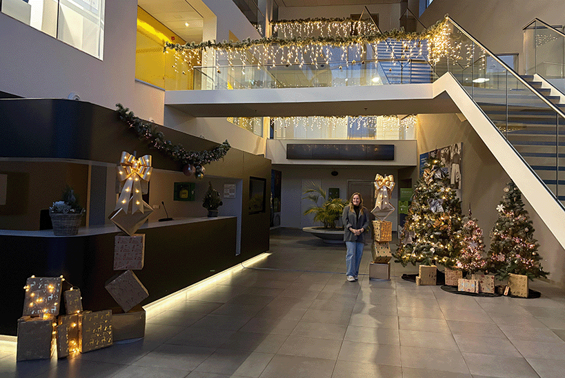 Kerstperiode bij Vilton